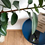 Eva's Lägenhet *